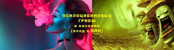 стафф Алзамай