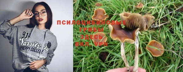 PSILOCYBIN Алексин