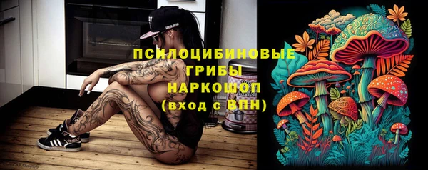 PSILOCYBIN Алексин