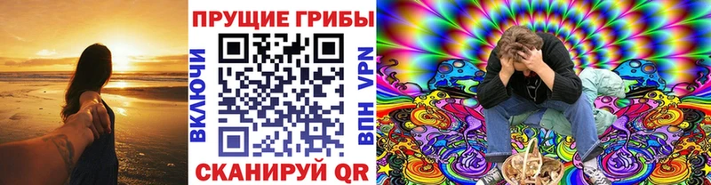 Псилоцибиновые грибы Psilocybine cubensis  купить закладку  Вилючинск 